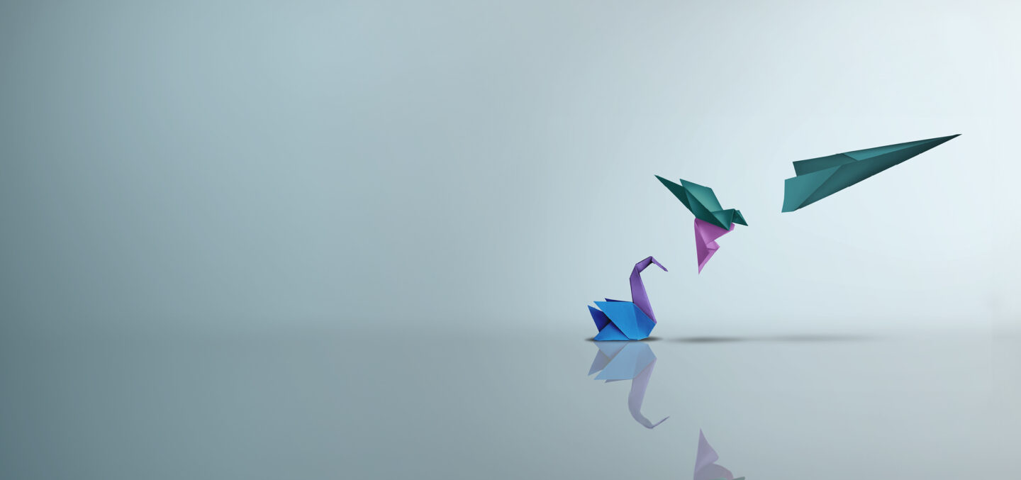 Papierflieger Header Calpana