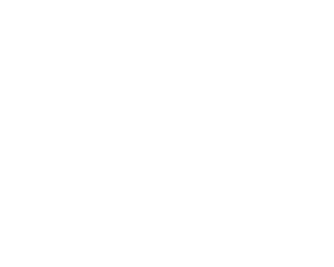 Coaching Symbol weiß